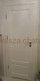 DRZWI DREWNIANE SOSNOWE W59